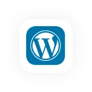 Wordpress icon
