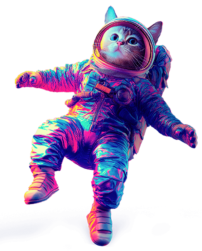 cat-3